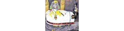 வெங்கனூர்